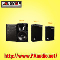 Professional Speaker PS Series